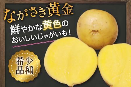 マツコの知らない世界で紹介【期間限定発送】 じゃがいも ながさき黄金 5kg ( 秋じゃがいも ) [南串ながさき黄金生産組合 長崎県 雲仙市 item1355] ジャガイモ 秋ジャガイモ 野菜 5キロ 期間限定