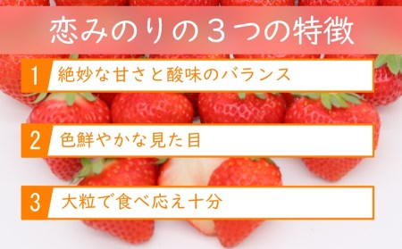 【期間限定発送】いちご 恋みのり 4パック（1kg以上） 2Lサイズ以上 朝どれ シャインファームから直送 [吉岡青果 長崎県 雲仙市 item1499] イチゴ 苺 果物 くだもの フルーツ 数量限定 期間限定