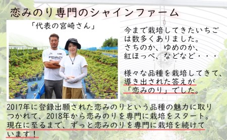 【期間限定発送】いちご 恋みのり 4パック（1kg以上） 2Lサイズ以上 朝どれ シャインファームから直送 [吉岡青果 長崎県 雲仙市 item1499] イチゴ 苺 果物 くだもの フルーツ 数量限定 期間限定