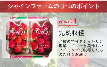 【期間限定発送】いちご 恋みのり 4パック（1kg以上） 2Lサイズ以上 朝どれ シャインファームから直送 [吉岡青果 長崎県 雲仙市 item1499] イチゴ 苺 果物 くだもの フルーツ 数量限定 期間限定