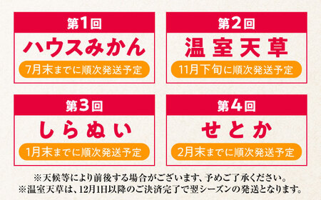【4回定期便】【2026年7月初回発送】柑橘 4種類 定期便 / ハウスみかん 温室天草 しらぬい せとか 果物 フルーツ / 南島原市 / JA島原雲仙東南部基幹センター [SAC005]