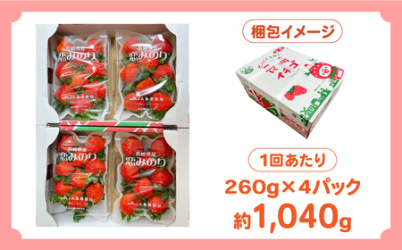 【2025年3月〜発送】【2回定期便】南島原産 いちご 「恋みのり」約260g×4P / イチゴ 苺 フルーツ 果物 / 南島原市 / あゆみfarm [SFF002]