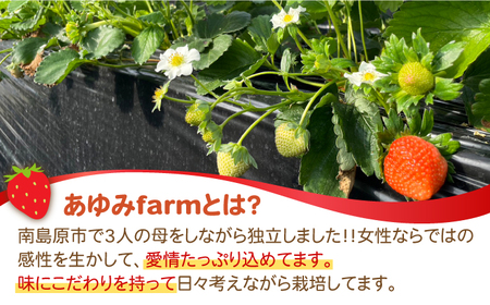 【2025年3月〜発送】【2回定期便】南島原産 いちご 「恋みのり」約260g×4P / イチゴ 苺 フルーツ 果物 / 南島原市 / あゆみfarm [SFF002]