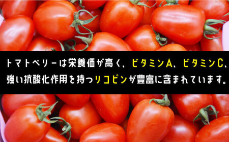 【2025年1月〜発送】トマトベリー 1kg / ミニトマト トマト トマトベリー とまと 野菜 サラダ プチトマト / 南島原市 / 長崎県農産品流通合同会社 [SCB029]