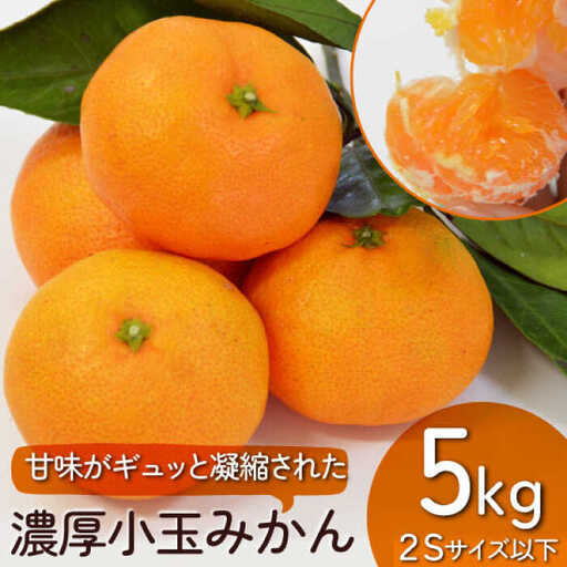 【2026年10月下旬～発送】【甘味が凝縮！】 濃厚 小玉みかん 5kg 温州みかん  2Sサイズ以下 / みかん 小玉 フルーツ 果物 くだもの 柑橘 蜜柑 ミカン / 南島原市 / 長崎県農産品流通合同会社 [SCB058]