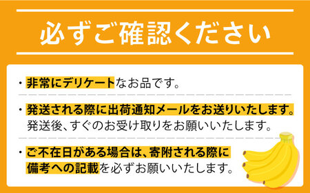 【テレビで話題！】【とても希少な国産バナナをあなたへ！】hotaru バナナ 5本 / ばなな 果物 フルーツ / 南島原市 / hotaru [SFA002]