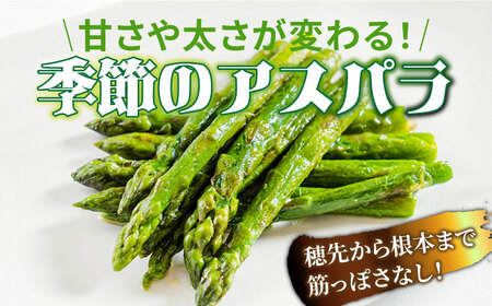 【3回定期便】【星のアスパラ】春・夏・秋 の グリーン アスパラガス 約1kg / アスパラ 野菜 / 南島原市 / ほしのYA [SEY013]