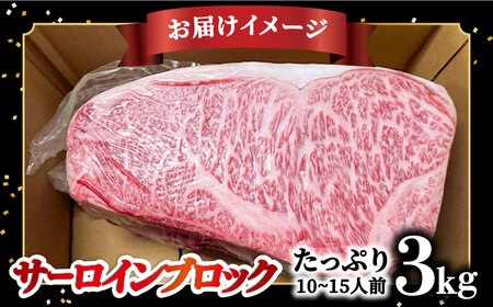 【内閣総理大臣賞受賞】長崎和牛 サーロインブロック 約3kg / 冷凍 ステーキ肉 サーロインステーキ / 南島原市 / 島原雲仙農業協同組合 [SES001] ステーキ すてーき サーロイン さーろいん サーロインステーキ さーろいんすてーき 和牛 わぎゅう 焼肉 焼き肉 BBQ バーベキュー 牛肉 ぎゅうにく 100000 100000円 10万円