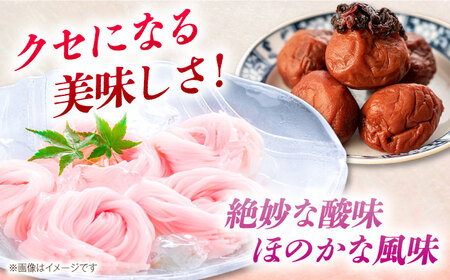 【極旨めん】紀州梅・八女茶そうめんセット（50g×各4束） / そうめん ソーメン そうめん 素麺 ソーメン 島原ソーメン ソーメン / 南島原市 / 小林甚製麺 [SBG024]