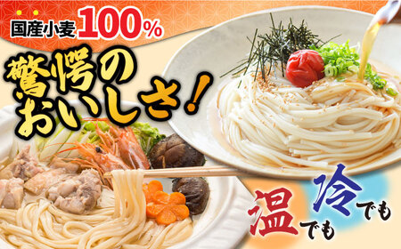 島原 手延べうどん 山道うどん 国産小麦100％ 160g×30袋 4.8kg / 島原手延べ うどん ウドン 饂飩 乾麺 麺 / 南島原市/ そうめんの山道 [SDC011]