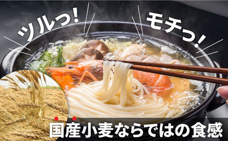 島原 手延べうどん 山道うどん 国産小麦100％ 160g×30袋 4.8kg / 島原手延べ うどん ウドン 饂飩 乾麺 麺 / 南島原市/ そうめんの山道 [SDC011]