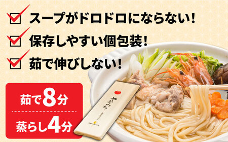 島原 手延べうどん 山道うどん 国産小麦100％ 160g×30袋 4.8kg / 島原手延べ うどん ウドン 饂飩 乾麺 麺 / 南島原市/ そうめんの山道 [SDC011]