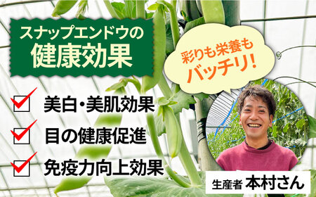 【2025年1月?発送】スナップエンドウ　サイズ違い　食べ比べセット　100g × 5袋 / 小分け / 南島原市 [SFL001]