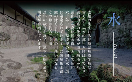 島原 手延そうめん 8kg ふるさと企画 [SBA070] そうめん