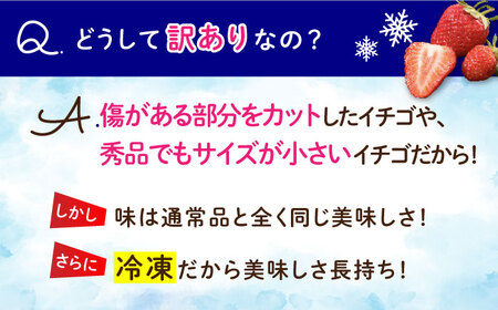 【訳あり】【数量限定】冷凍 カットいちご「恋みのり」 加工用 約800g×4P / 冷凍 いちご イチゴ 苺 フルーツ 冷凍フルーツ ジャム / 南島原市 / あゆみfarm [SFF005]