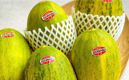 【2026年4月〜発送】【サクサク生地】南島原産パパイヤメロンのタルト / タルト メロン 18cm / 南島原市 / アトリエジジ[SAA026]