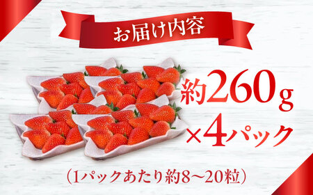 いちご【2026年1月中旬〜発送】いちご「ゆめのか」 約260g × 4P / いちご フルーツ 果物 イチゴ 苺 数量限定 いちご 産地直送 いちご 農家直送 旬 果物  / 南島原市 / O' Berry! [SGA001]