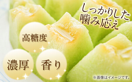 【2026年5月-発送】【さわやかな味わい!】訳あり タカミメロン 約4.5kg（3?6玉）傷もの / メロン めろん フルーツ 果物 / 南島原市 / 南島原果物屋[SCV025]