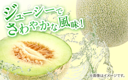 【2026年5月-発送】【さわやかな味わい!】訳あり タカミメロン 約4.5kg（3?6玉）傷もの / メロン めろん フルーツ 果物 / 南島原市 / 南島原果物屋[SCV025]