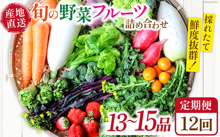 【12回定期便】野菜定期便 / 野菜 定期便 野菜定期便 / 農産品[SCB093]