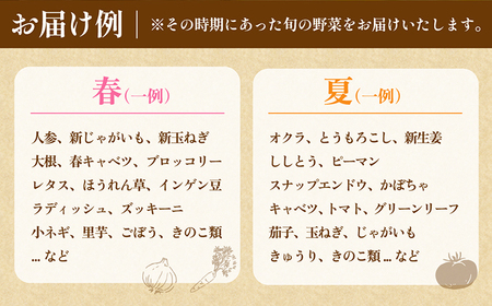 【12回定期便】野菜定期便 [SCB097] 