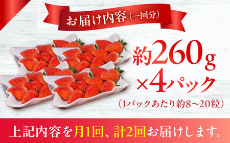【2回定期便】【2026年3・4月お届け】【数量限定】いちご「ゆめのか」 約260g × 4P / イチゴ 苺 フルーツ 果物 産地直送 朝摘み / 南島原市 / O' Berry![SGA003]
