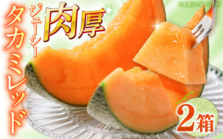 【2026年5月?発送】タカミメロン レッド 2箱（1箱 3～6玉） / メロン めろん フルーツ 果物 / 南島原市 / 南島原果物屋[SCV032]