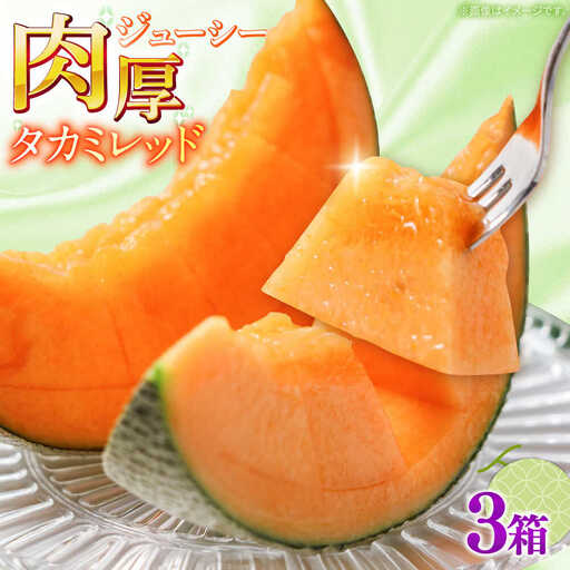 【2026年5月?発送】タカミメロン レッド 3箱（1箱 3～6玉） / メロン めろん フルーツ 果物 / 南島原市 / 南島原果物屋[SCV033]