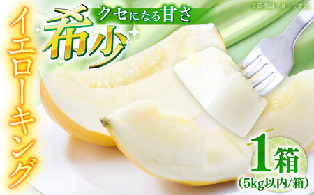 【2026年5月?発送】メロン イエローキング 1箱 5kg以内（3～6玉） / メロン めろん フルーツ 果物 / 南島原市 / 南島原果物屋[SCV039]