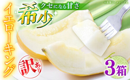 【2026年5月?発送】訳あり メロン イエローキング 3箱（1箱 3～6玉） / メロン めろん フルーツ 果物 / 南島原市 / 南島原果物屋[SCV044]