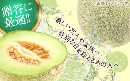 【2026年4月下旬?発送】【4回定期便】メロン 4種 食べ比べ / プリンスメロン イエローキング タカミレッド タカミメロン / メロン めろん フルーツ 果物 / 南島原市 / 南島原果物屋[SCV045]