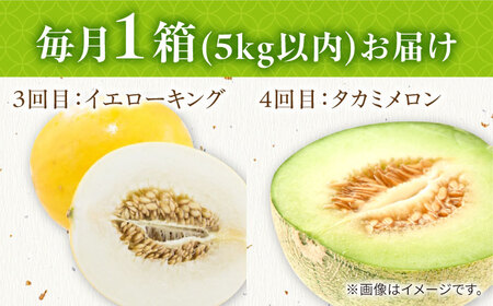 【2026年4月下旬?発送】【4回定期便】メロン 4種 食べ比べ / プリンスメロン イエローキング タカミレッド タカミメロン / メロン めろん フルーツ 果物 / 南島原市 / 南島原果物屋[SCV045]