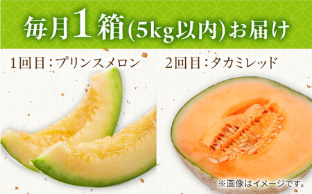 【2026年4月下旬?発送】【4回定期便】訳あり メロン 4種 食べ比べ / プリンスメロン イエローキング タカミレッド タカミメロン / メロン めろん フルーツ 果物 / 南島原市 / 南島原果物屋[SCV046]