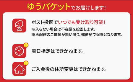 島原手延べそうめん　600g（6束×2袋）　食べ比べセット / 素麺 ソーメン 乾麺 / 南島原市 / 大平製麺[SGH001]
