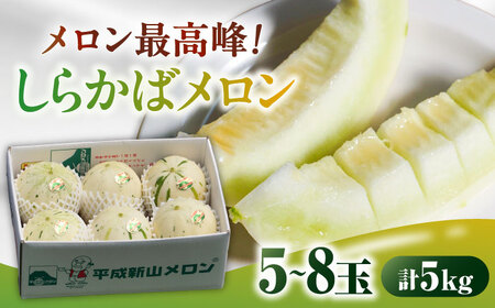 【2026年3月下旬?発送】しらかばメロン 5玉から8玉 約5kg / メロン めろん 果物 フルーツ / 南島原市 / うえだメロン園[SAD009]
