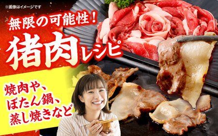 ジビエ 猪肉 スライス 1kg 雲仙いのしし / 肉 イノシシ ジビエ いのしし 焼肉 ぼたん鍋 いのしし肉 イノシシ肉 ジビエ いのしし 切り落とし 猪肉 猪 長崎県猪 九州産猪 長崎県産猪 ジビエ肉 低カロリー BBQ バーベキュー 冷凍 / 南島原市 / もりのめぐみ [SDB011]