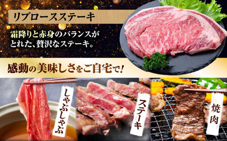 【6回定期便】長崎和牛 定期便　トライアルコース 計3.4kg お楽しみ 牛肉 バラエティ定期便 国産 / サーロイン カルビ ロース しゃぶしゃぶ 牛ミンチ リブロース / 南島原市 / 水田精肉店[SDZ042]