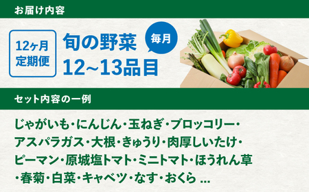 【12回定期便】野菜セット 12から13品目 野菜定期便[SGG001]