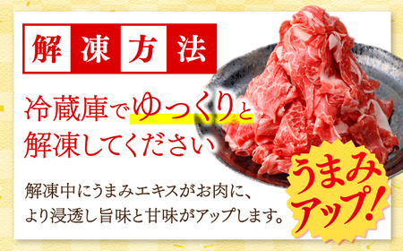 【2026年1月～順次発送】長崎県産 牛肉切り落とし1kg [SBA093] 牛肉