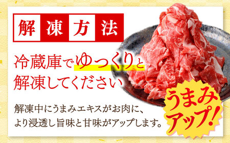 【2026年1月～順次発送】牛肉切り落とし500g [SBA094] 