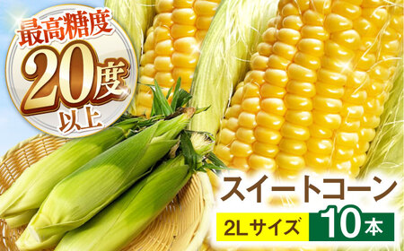 【2026年6月～発送】【最高糖度20度以上！】とうもろこし 2Lサイズ 10本 / ゴールドラッシュネオ トウモロコシ コーン スイートコーン / 南島原市 / 三和サービス株式会社[SGB008]