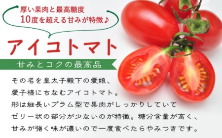 【完熟 ミニトマト】アイコトマト 約 1kg [SCB039] / とまと ぎふと ミニとまと プレゼント 野菜 ギフト やさい ギフト 野菜 レシピ やさい レシピ トマトジュース とまとジュース