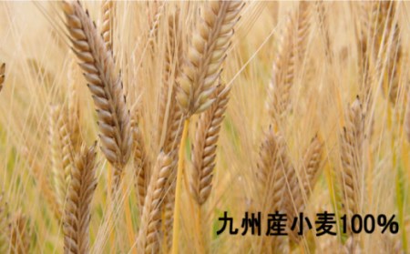 【国産 小麦 100％】小麦島原 手延 素麺 1kg / そうめん 南島原市 / 野村屋 [SCS004]