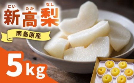 先行予約！【シャリッと食感がたまらない！】新高梨 5kg (玉数おまかせ) / 梨 南島原市 / ふるさと企画 [SBA012]