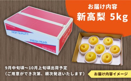 先行予約！【シャリッと食感がたまらない！】新高梨 5kg (玉数おまかせ) / 梨 南島原市 / ふるさと企画 [SBA012]