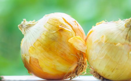 【2026年3月?発送】【甘くてジューシー 】新たまねぎ 先行予約 サラダ たまねぎ 5kg  / 玉ねぎ たまねぎ タマネギ 新たまねぎ 新玉ねぎ /  南島原市 / 長崎県農産品流通合同会社 [SCB025]