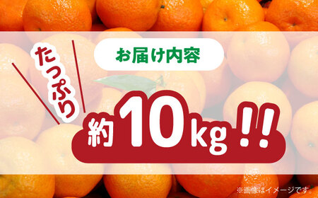 【2024年11月下旬～発送】【高糖度】 温州みかん 約10kg / みかん ミカン 蜜柑 長崎県産みかん 糖度 果物 くだもの フルーツ ふるーつ 旬 家庭用 10kg / 南島原市 / 南島原果物屋 [SCV012]