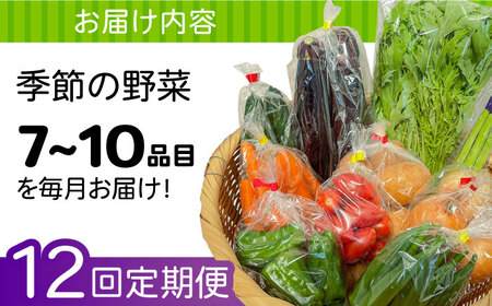 【12回定期便】野菜定期便 7～10品目 / ながさき南部 [SBW005] 