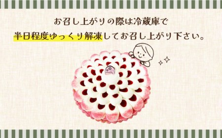 【2026年1月〜発送】木苺のティラミスタルト [SAA003] タルト