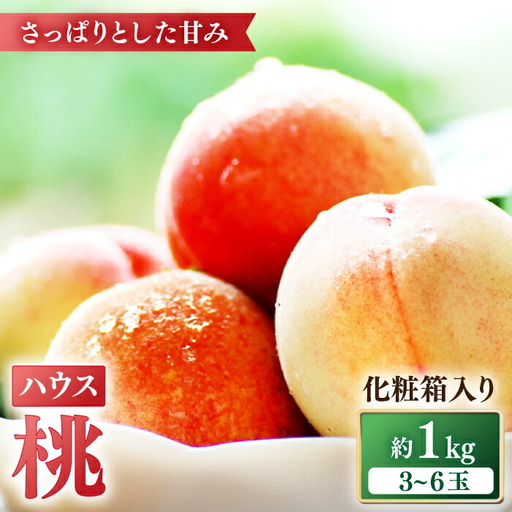 【2026年5月下旬〜発送】桃 特別栽培ハウスもも 約1kg 化粧箱入り / 桃 もも モモ フルーツ 果物 旬 / 南島原市 / ふくはちファーム [SBS005]